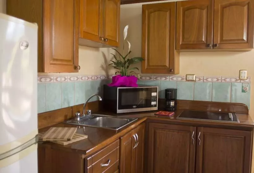 Отель Amapola Resort