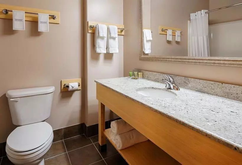 Отель Best Western Sioux Lookout Inn