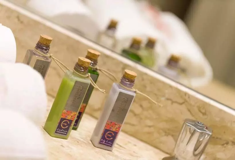 Otel Continental Inn