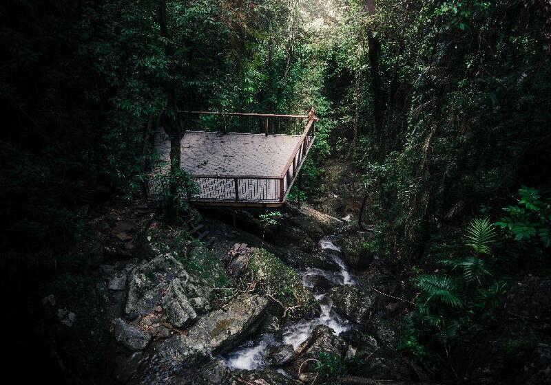 בית מלון כפרי Daintree Ecolodge