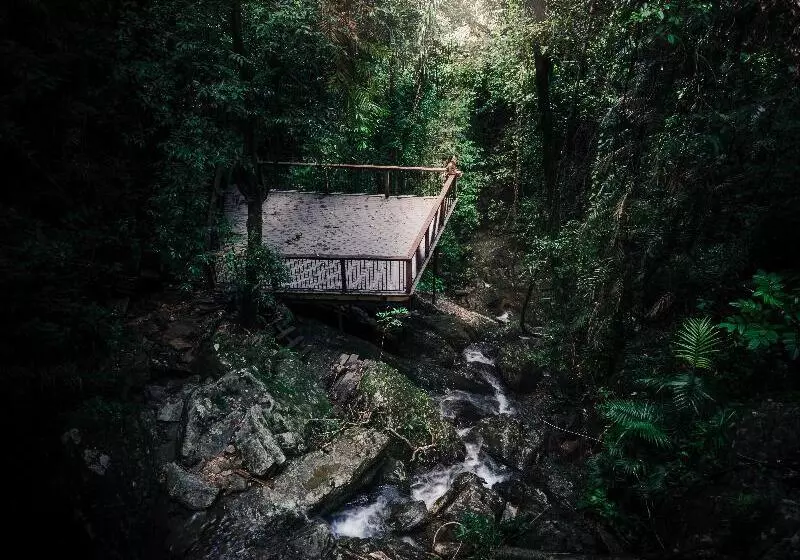 Отель Daintree Ecolodge