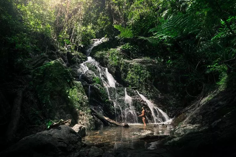 Отель Daintree Ecolodge