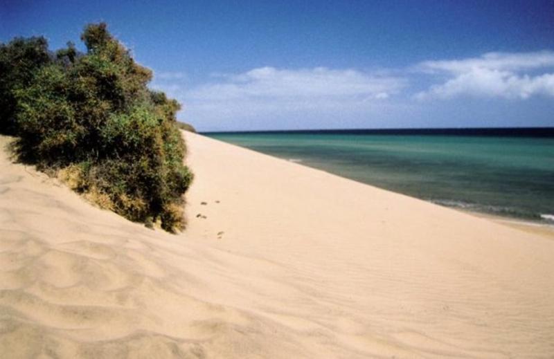 Hotel Fergus Cactus Garden