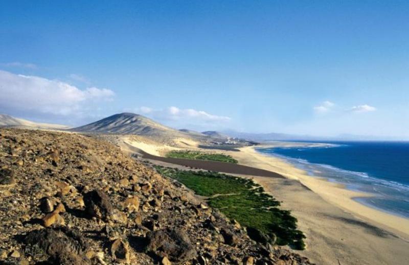 Hotel Fergus Cactus Garden