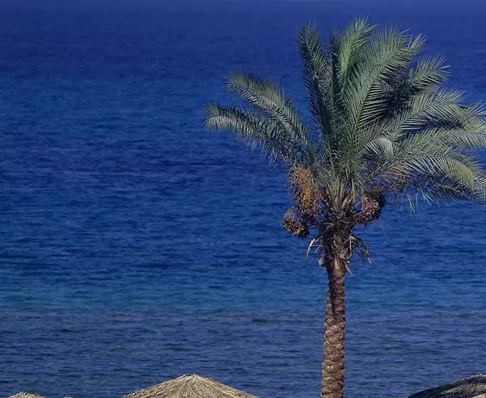 Hotel La Playa Beach Resort Taba