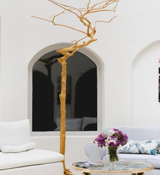 هتل Tharroe Of Mykonos Boutique