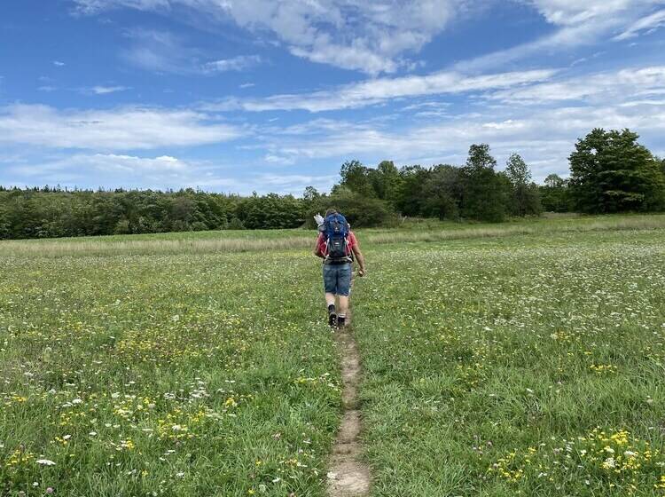 فندق صغير The Glen Huron Inn