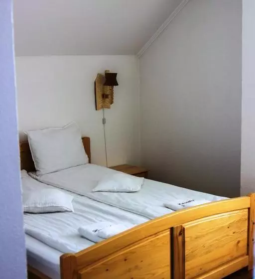 Aamiaismajoitus (B&B) Hazanéző Panzió