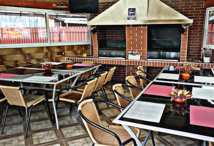 ベッドアンドブレックファースト Picnic Panzio