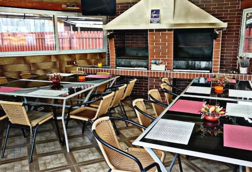 ベッドアンドブレックファースト Picnic Panzio