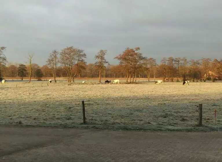 Bed & Breakfast El Manso