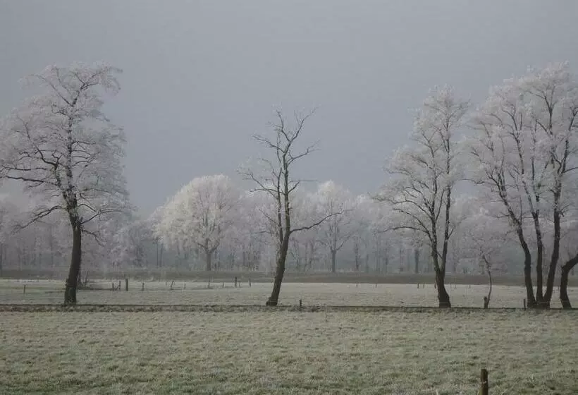 Bed & Breakfast El Manso