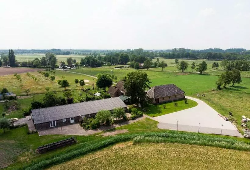 Bed & Breakfast El Manso