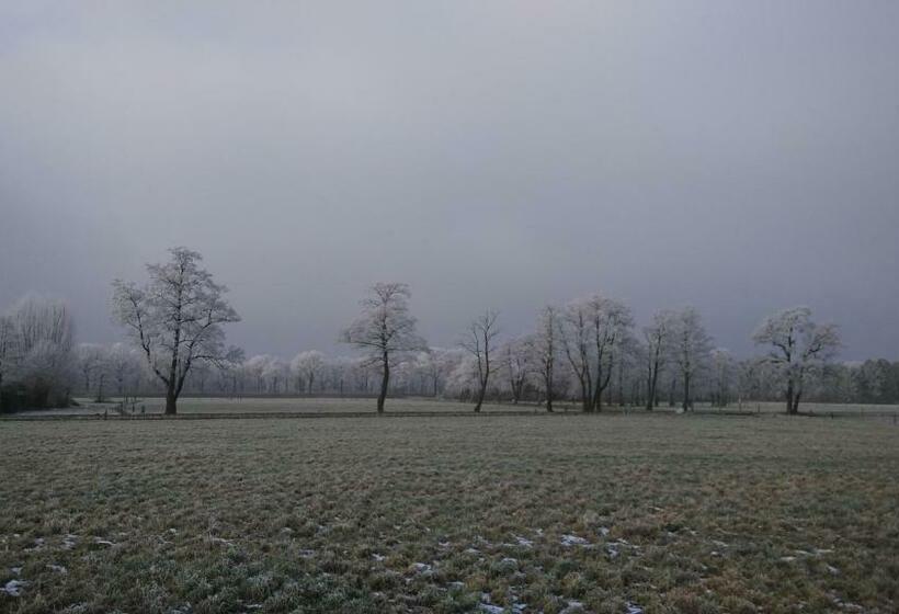 Bed & Breakfast El Manso