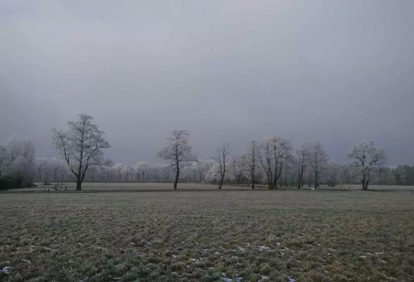 Bed & Breakfast El Manso