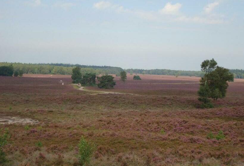 Bed & Breakfast El Manso