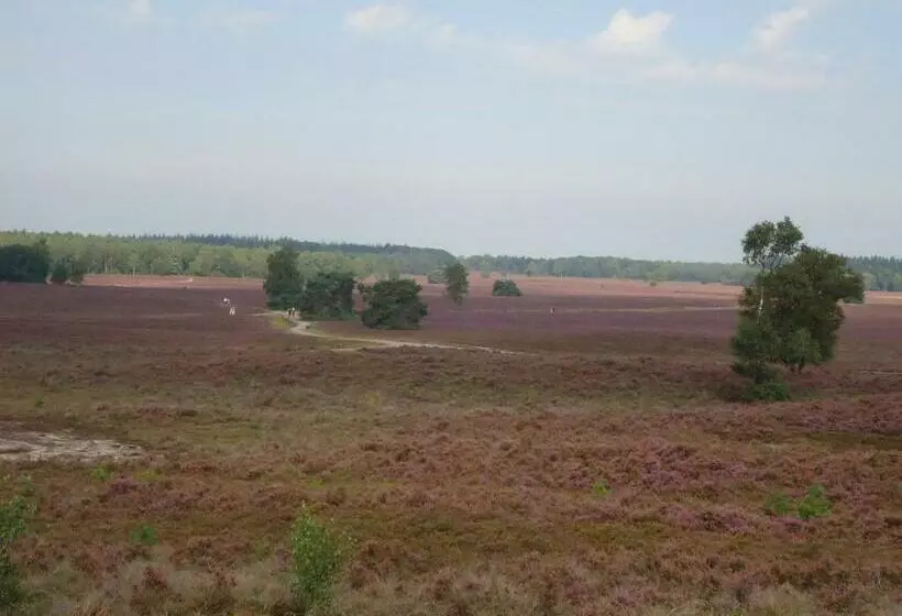 Bed & Breakfast El Manso