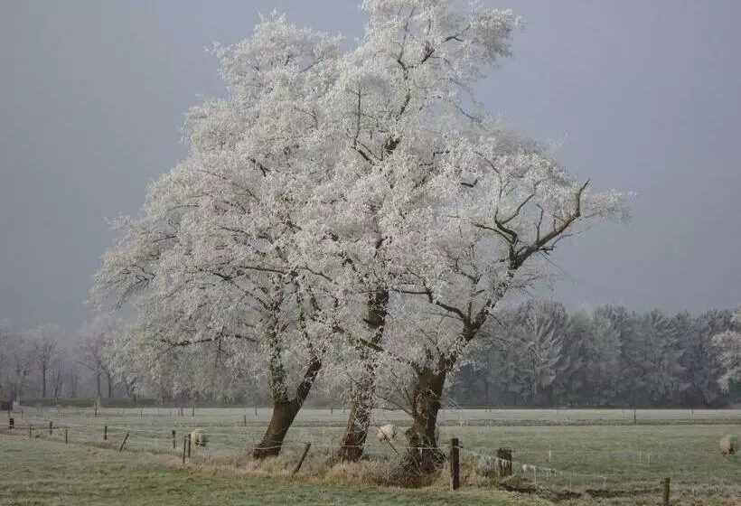 Bed & Breakfast El Manso
