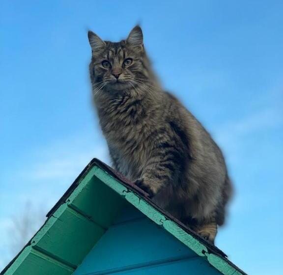 ホテル панівецька садиба