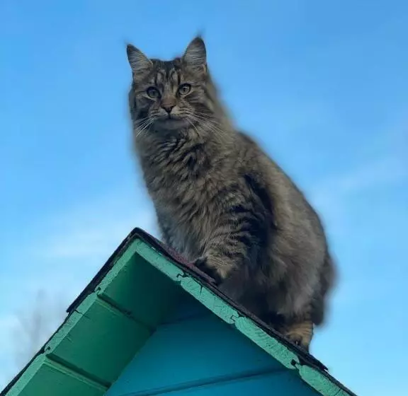 Hotelli панівецька садиба