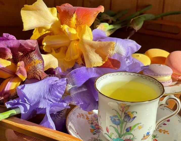 ホテル панівецька садиба