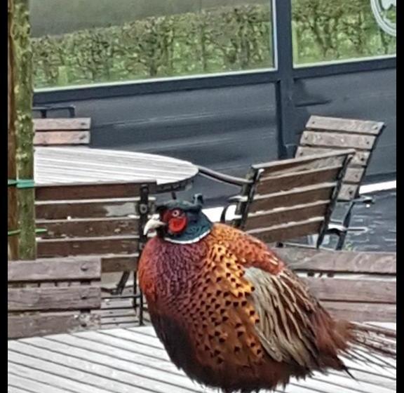 호텔 De Hollemeersch