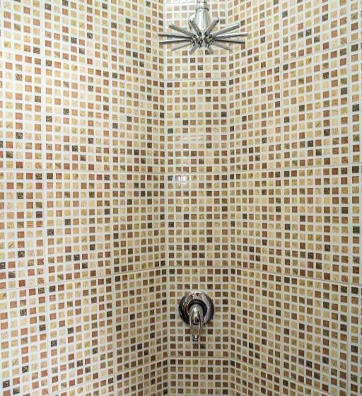 فندق Dniprovskiy Dvir