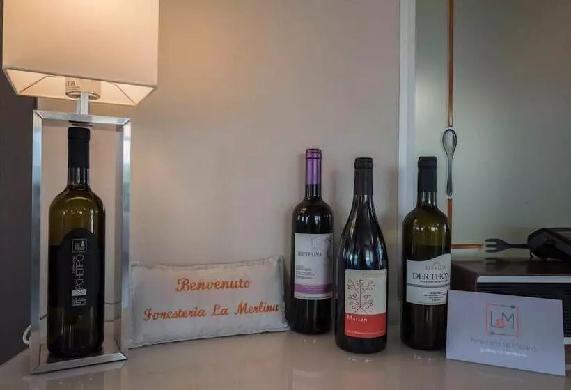 Hotelli Foresteria La Merlina