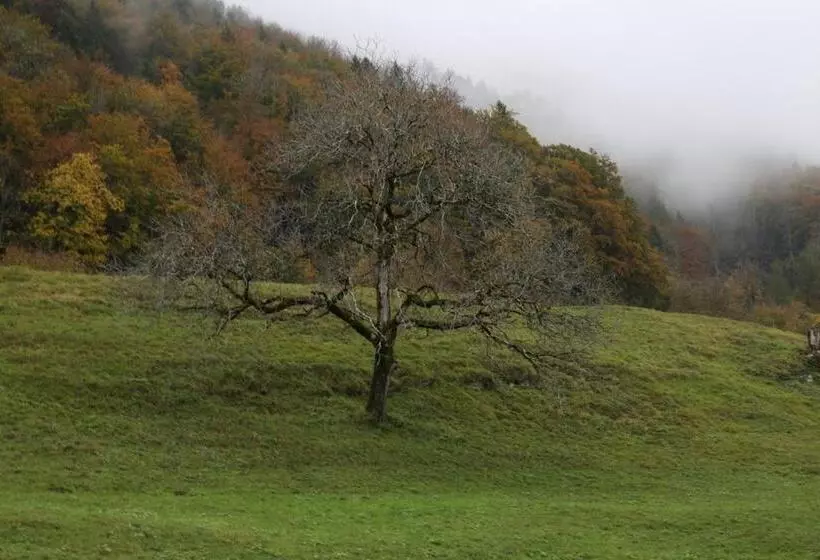 Hotelli Lakeview Bei Interlaken