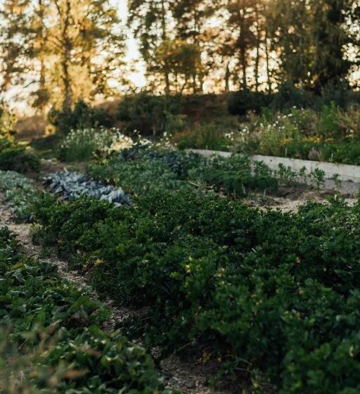 ホテル Lindeborgs Eco Retreat