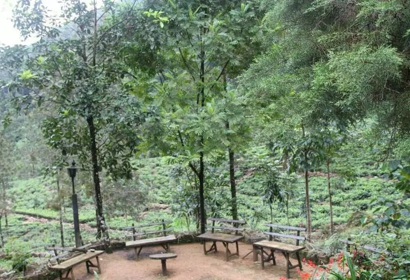 Hotelli Maskeli Oya Family Park