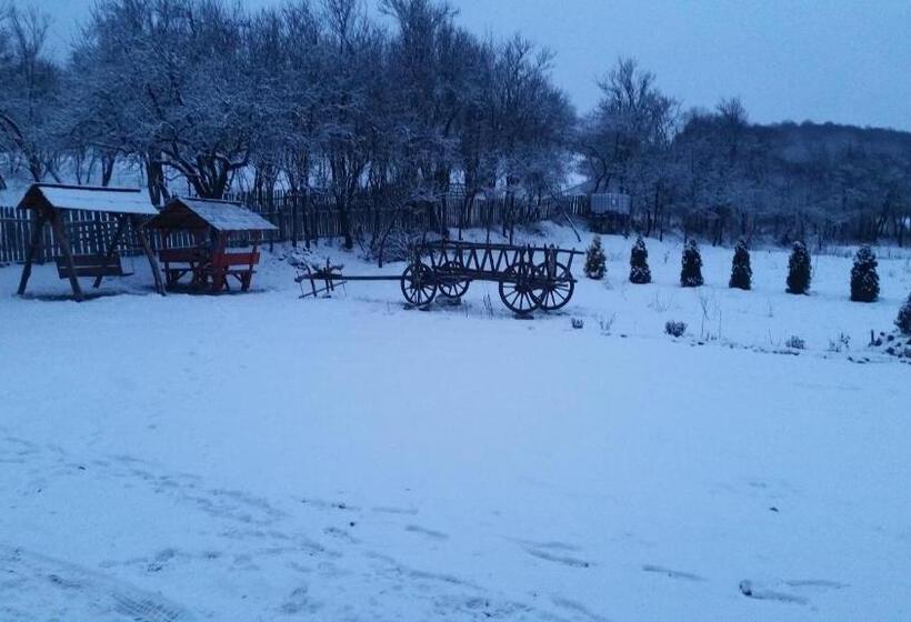 호텔 Pensiunea Agroturistica Cheile Cibului