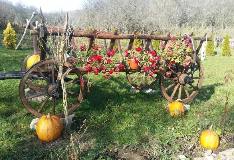 هتل Pensiunea Agroturistica Cheile Cibului