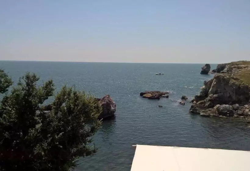 هتل Tyulenovo