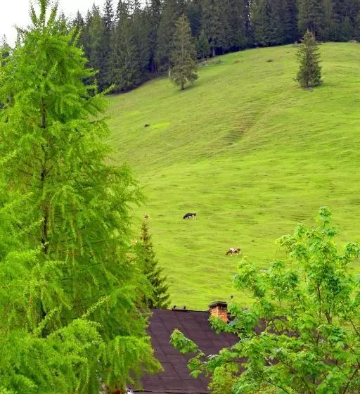 ペンション Bio Valeputna