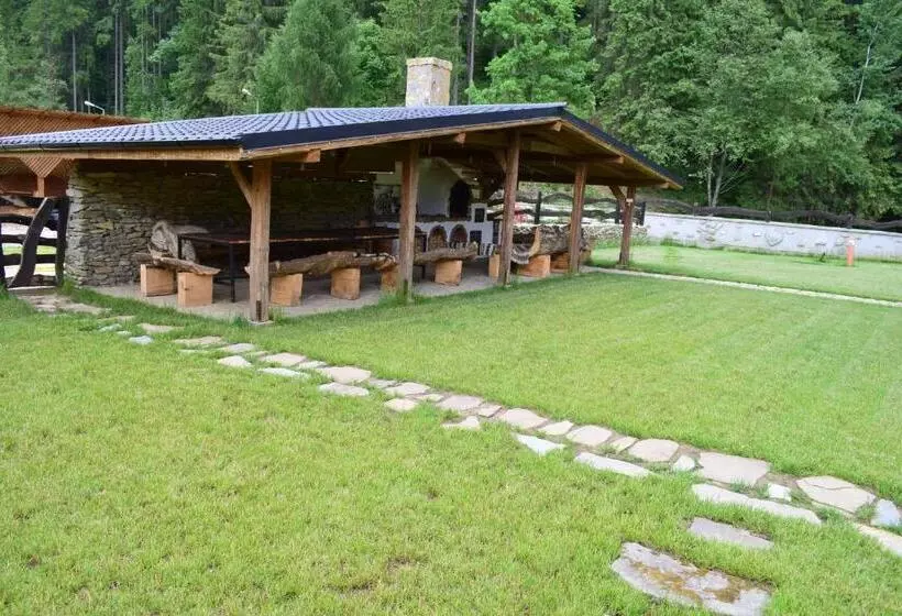 ペンション Bio Valeputna