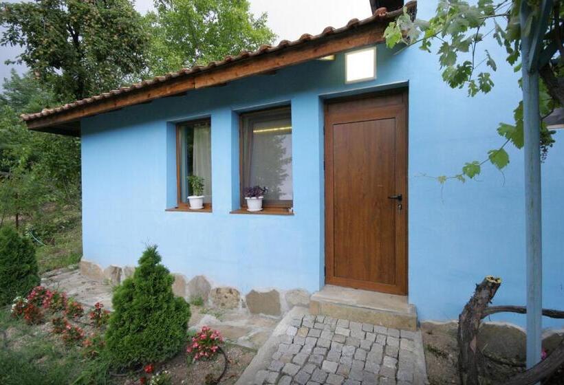 Пансион Chuchi Guest House 1