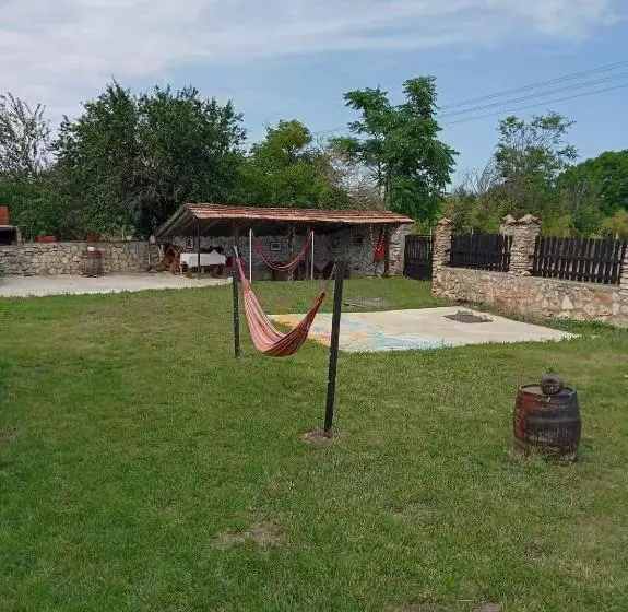 پانسیون Guest House Viola