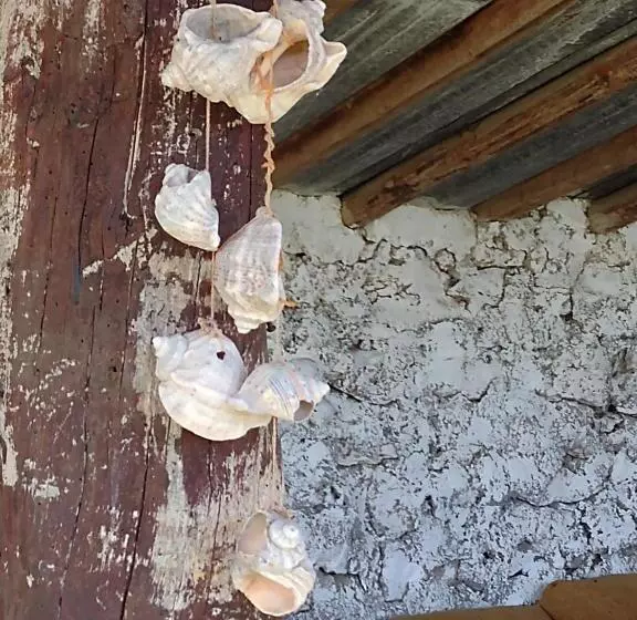 پانسیون Guest House Viola