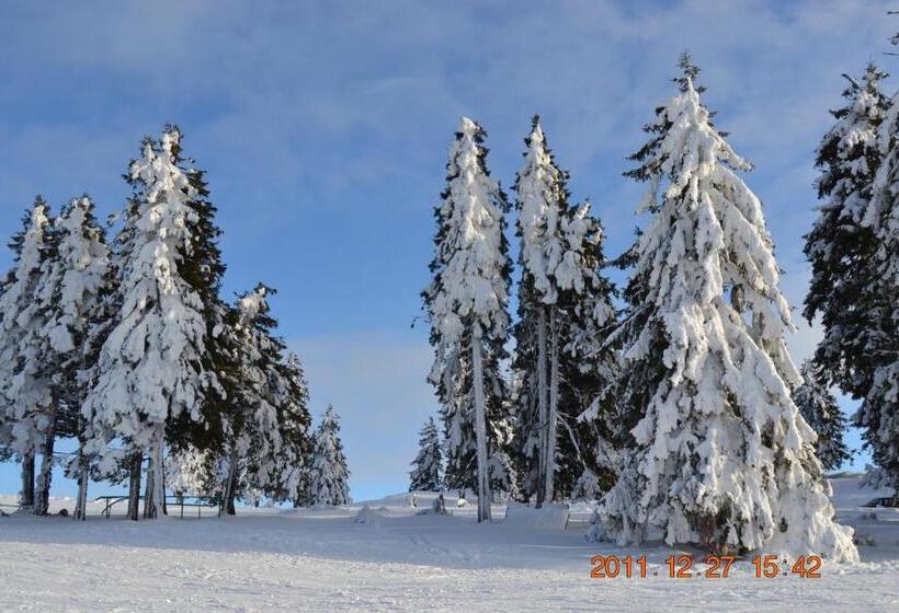 بنسيون Ivoi Magasbukki Vendeghaz