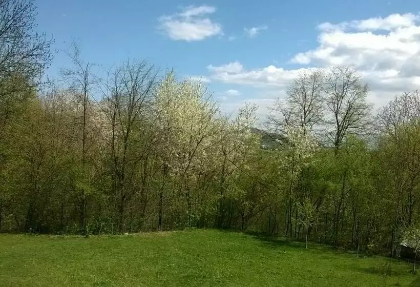 پانسیون Lycorn