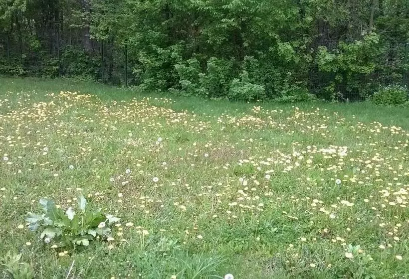 پانسیون Lycorn