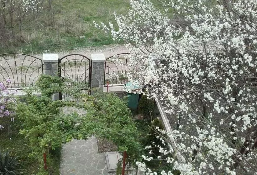 پانسیون Lycorn