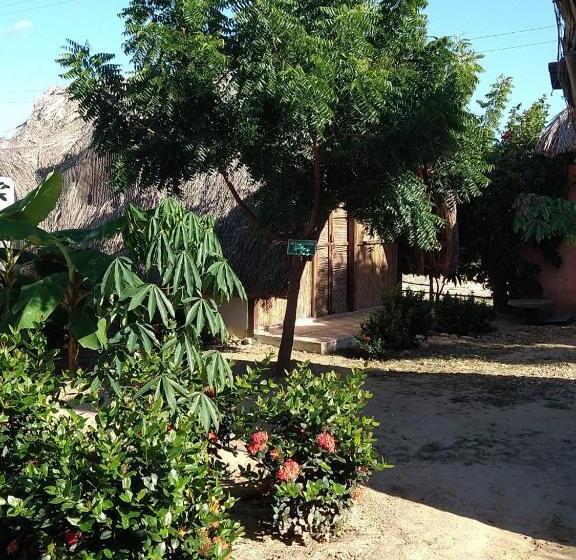 پانسیون Playa Kai Glamping