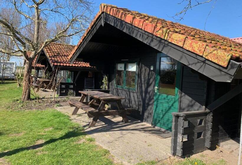 膳宿费 The Bee   Trekkershuts & Apartment