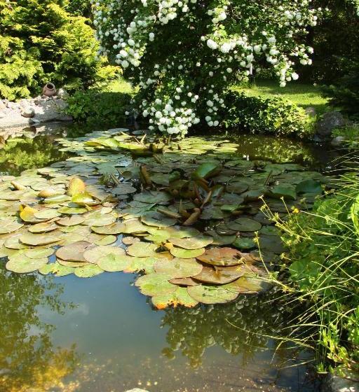 ペンション Werners Landgasthaus