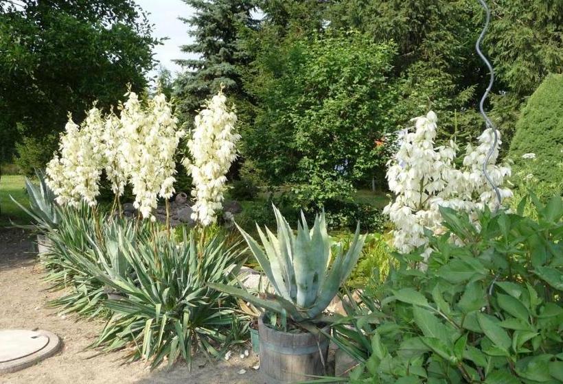 ペンション Werners Landgasthaus