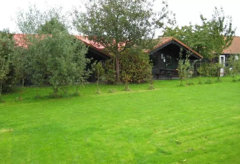 Majatalo The Bee   Trekkershuts & Apartment