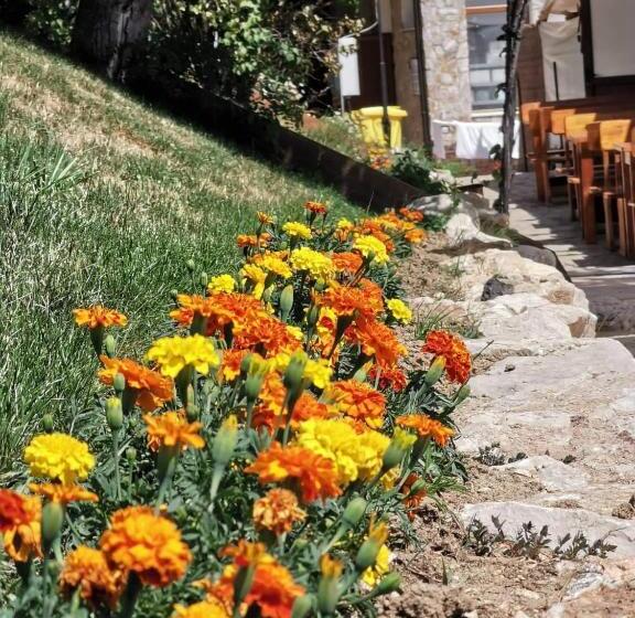 استراحتگاه Complex Magura