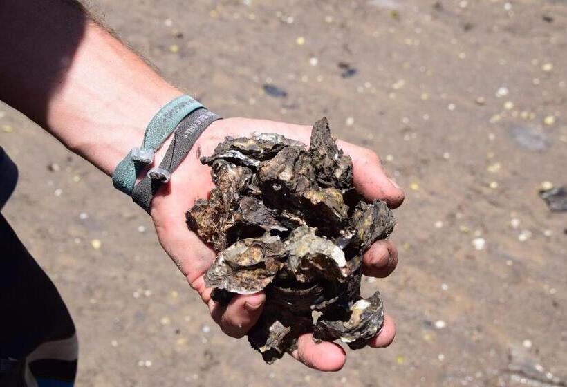 리조트 Pura Vida Bahia